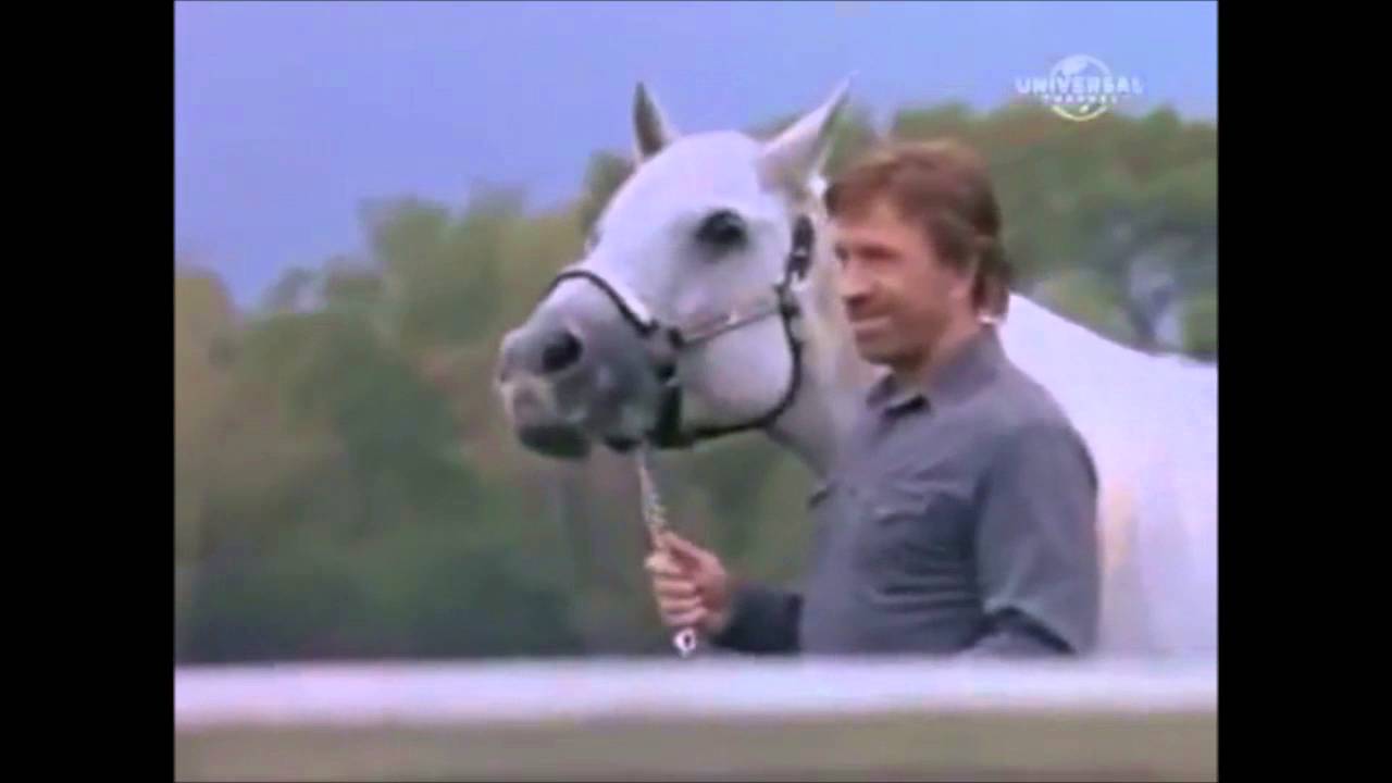 WALKER TEXAS RANGER Walker & Alex ♥ Survivors