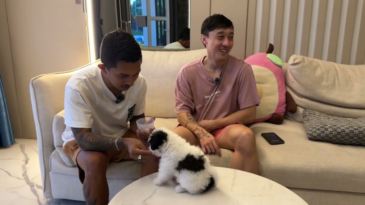 ANJING GALAK HANYA HITUNGAN MENIT LANGSUNG NURUT ‼️ LATIH ANJINGNYA BRANDON KENT