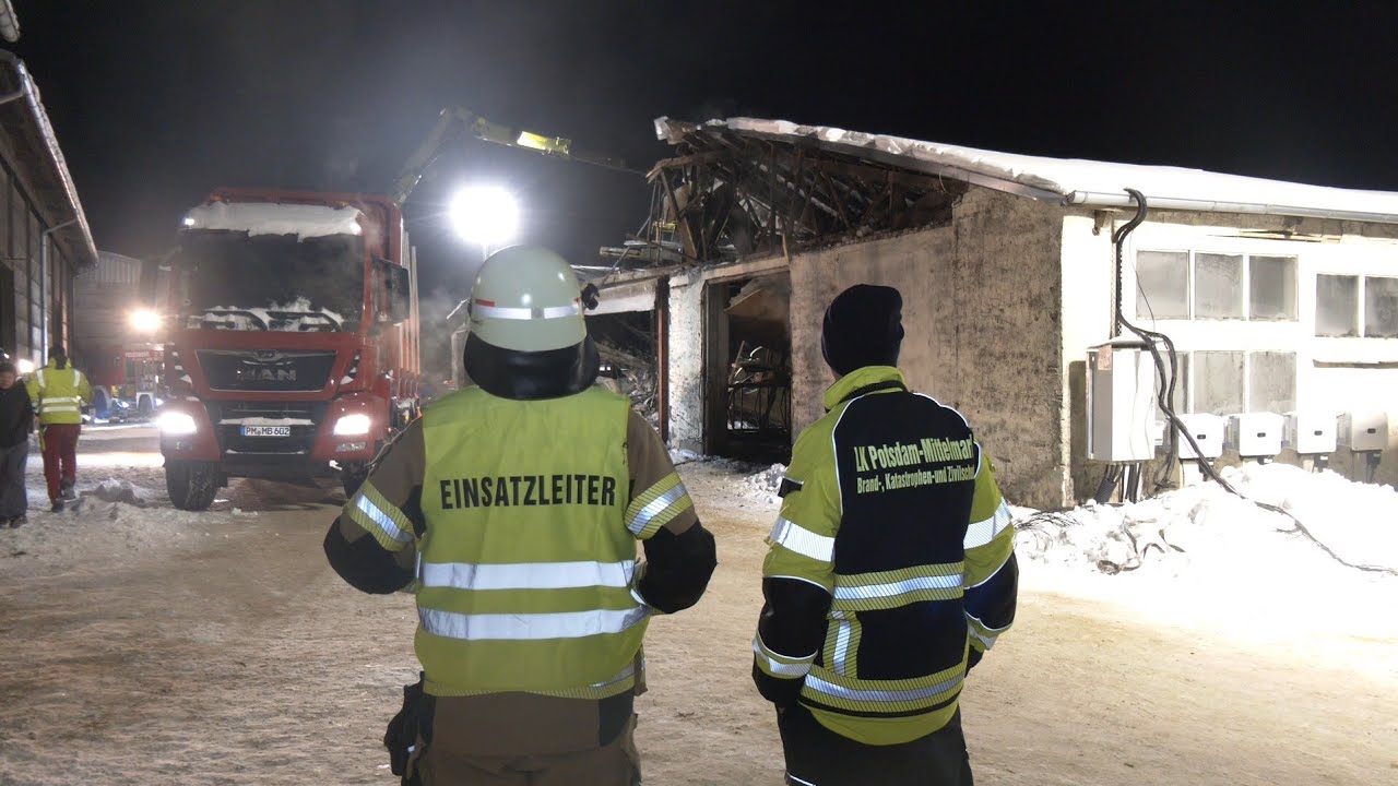 Schneelast lässt Kuhstall einstürzen. Retter kämpfen bei minus 17 Grad ums Überleben von 25 Kühen.
