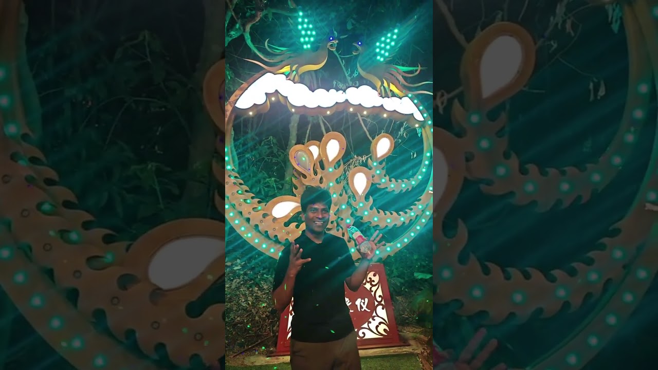Fantasy forest and Phoenix bridge in Sanya 