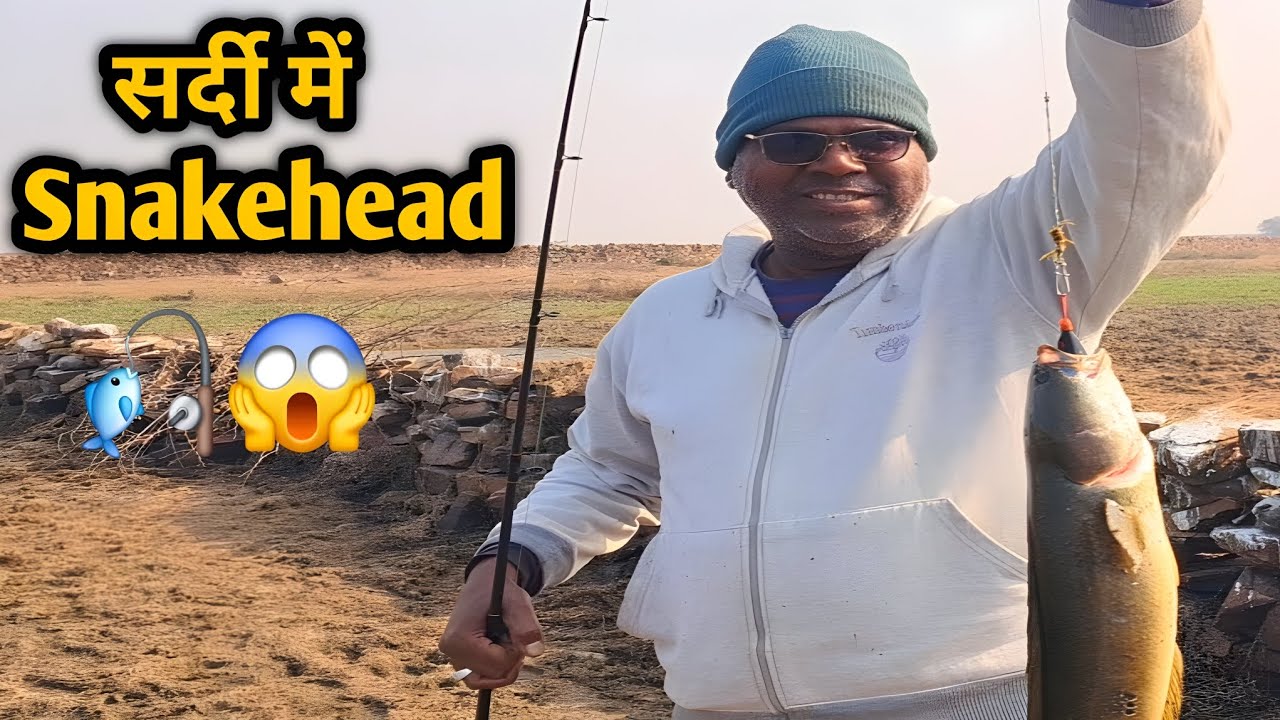 सर्दी में Snakehead Fish कहाँ रहती है? | Winter Fishing Tips 🎣