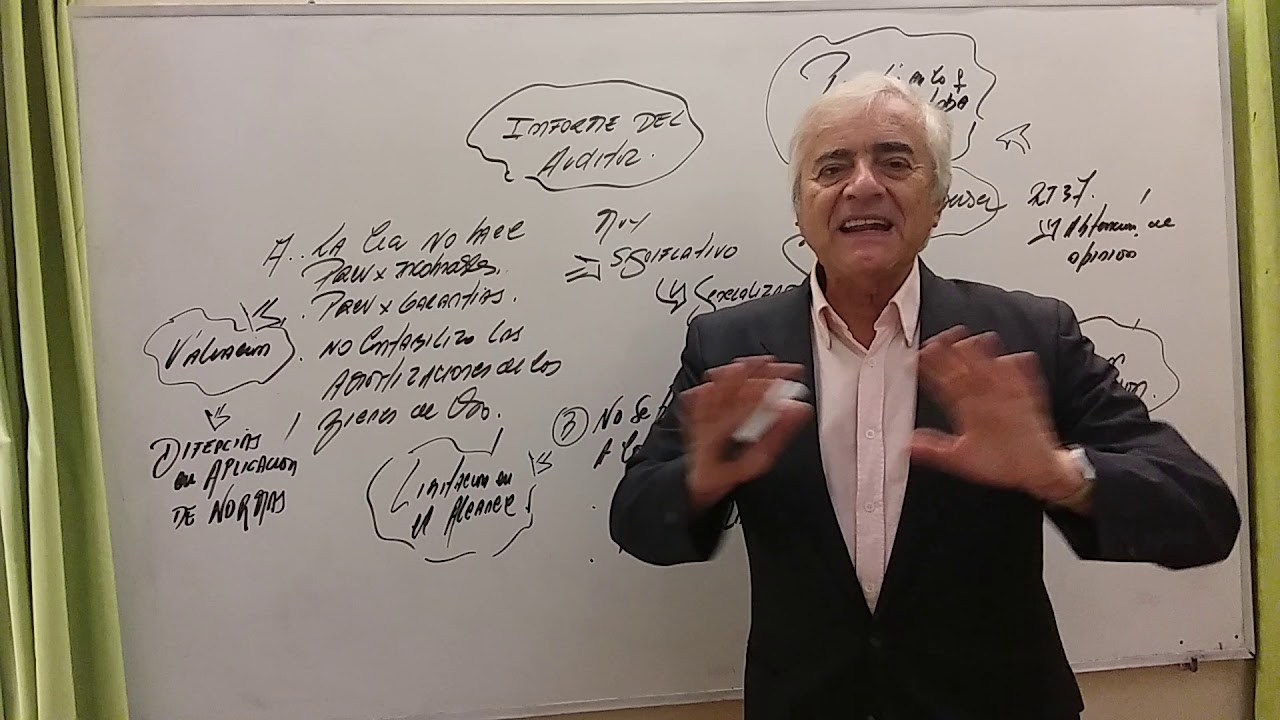 INFORME del  AUDITOR. opinion ADVERSA y ABSTENCI&Oacute;N.
