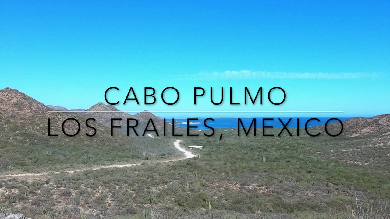 Cabo Pulmo, Los Frailes, Mexico - Jacques Cousteau's World's Aquarium