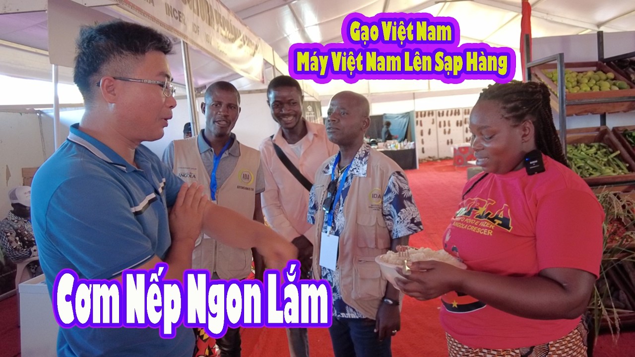 Cơm nếp được giới thiệu tại hộ chợ đón Phó Chủ tịch đảng lớn nhất Angola||2QVlogs Cuộc sống Châu Phi