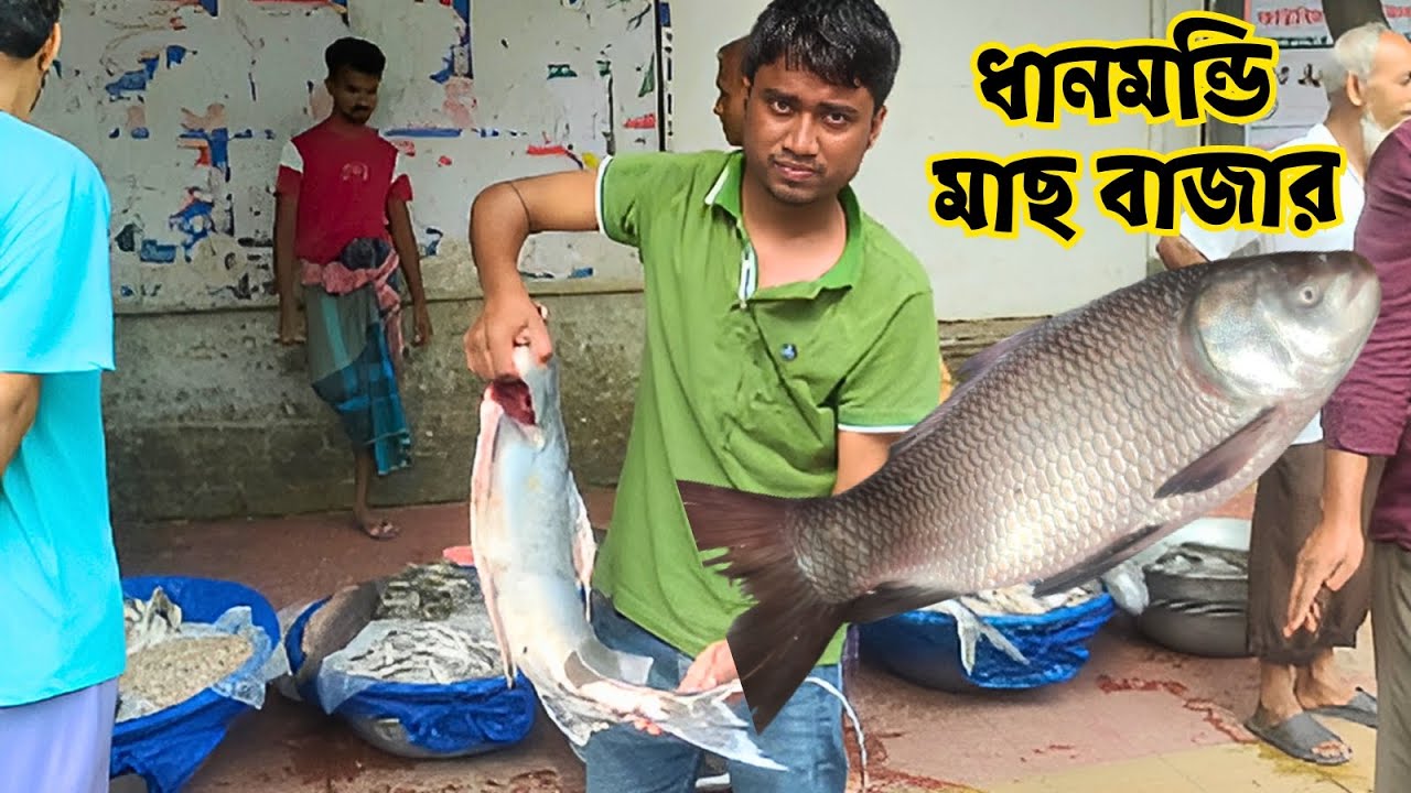 ঢাকার সেরা ধানমন্ডি মাছ বাজার | Dhanmondi Fish Market Dhaka