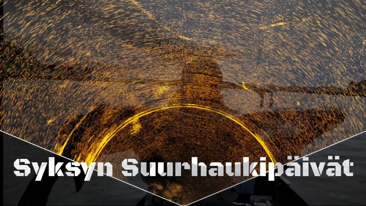 Syksyn Suurhaukipäivät - Kaksi Päivää Uskomatonta Haukitykitystä - Kaikukuvaa Suurhauista