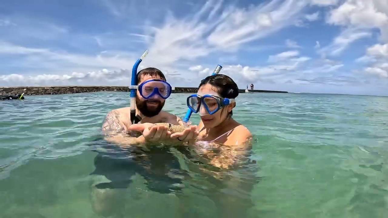 The ONLY snorkeling tour is Waikiki! Discovertourshawaiillc.com