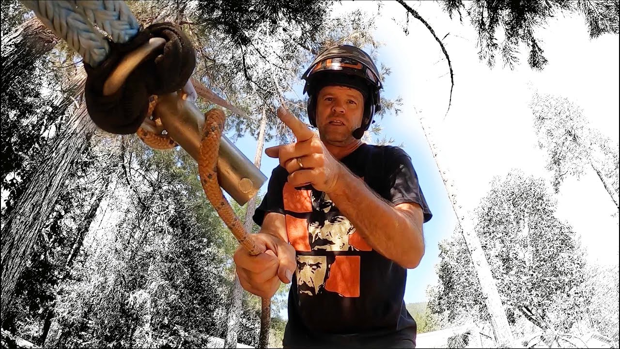 Speed-Lining Trees  -WHAT the Ground-Person Does