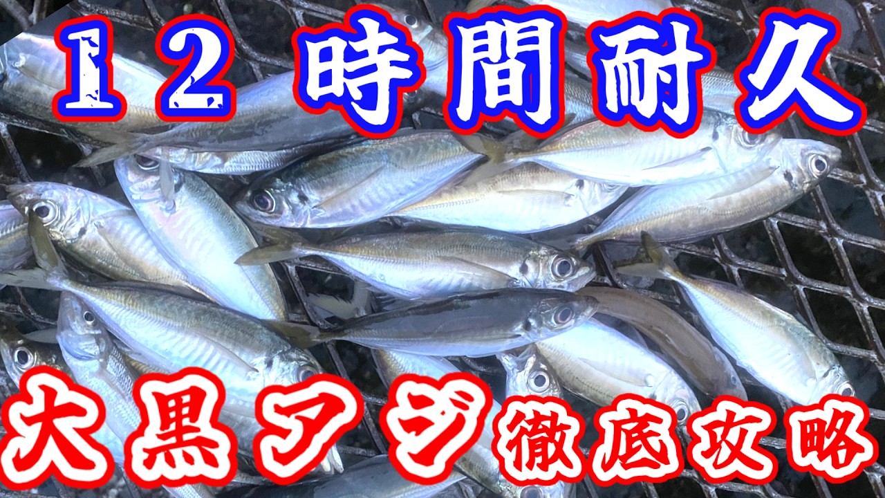 【大黒海づり施設】開園から閉園までアジ狙い！一番釣れるのはこの時間！#釣り #横浜 #東京湾 #アジ #サビキ