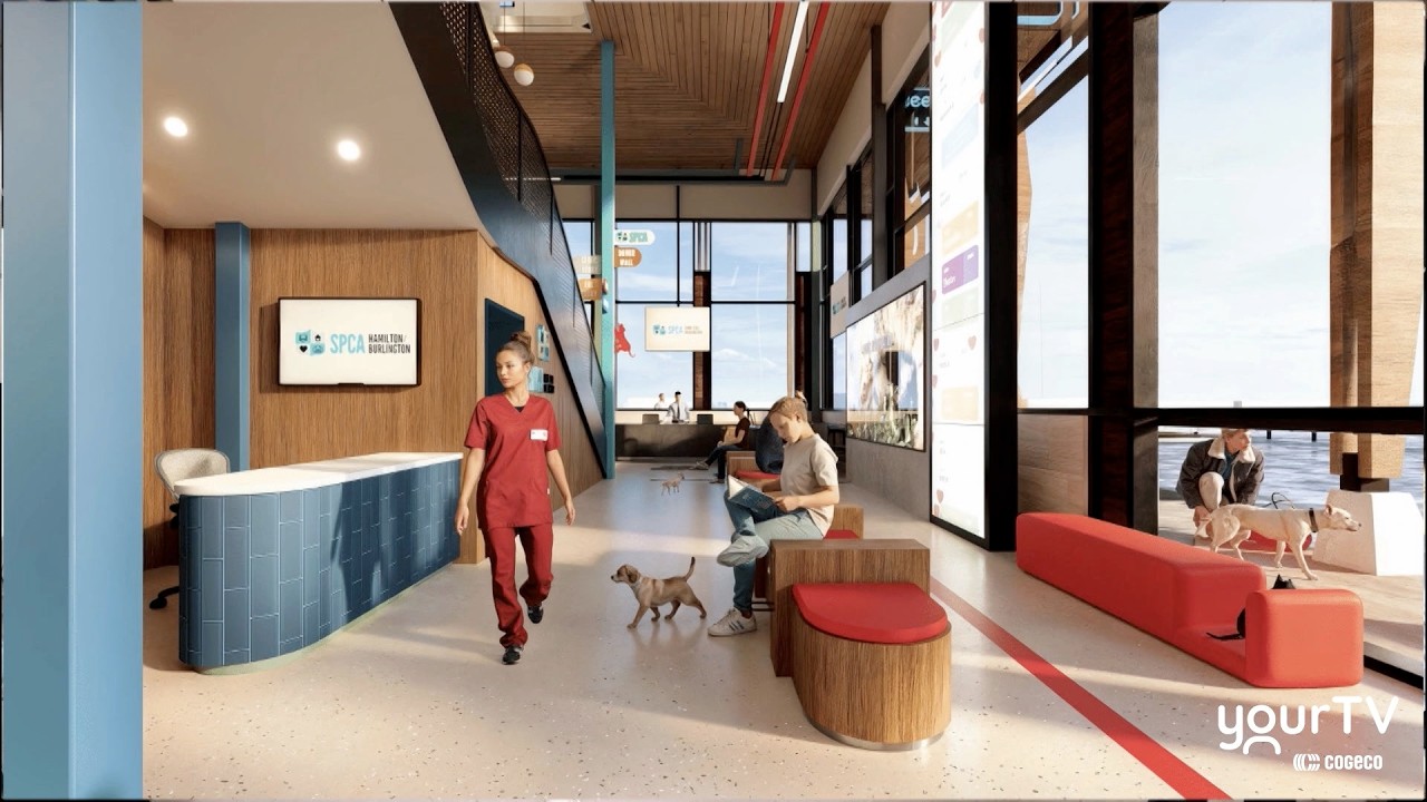 The Hamilton Burlington SPCA’s Proposed Vet Hub