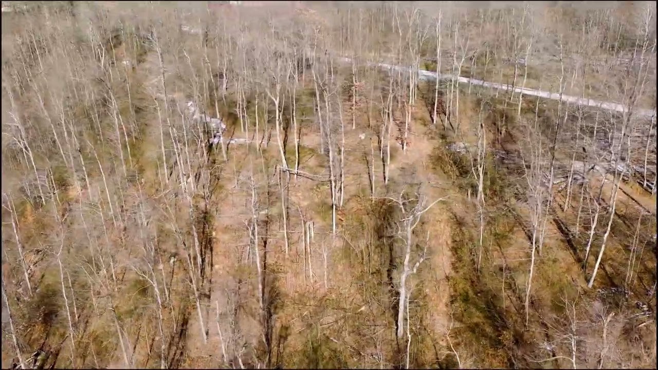 19 Acres Hunting Land Ohio | Mixed Woods & Fields | $109K | Washington County