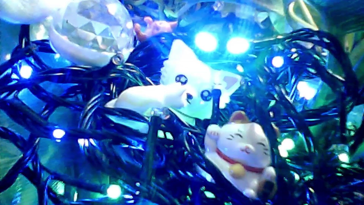 시간아시간달리기