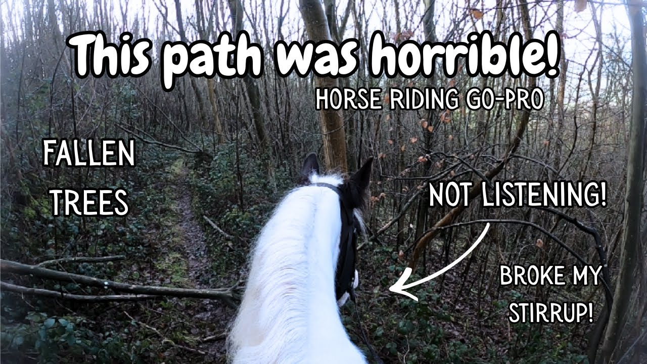 The good the bad and the ugly (This ride was chaos) / Horse Riding Go-pro