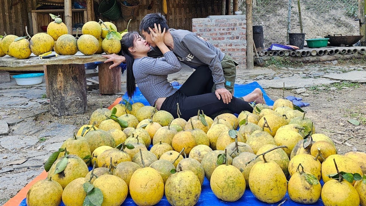 Pick 200 pounds of oranges to make a delicacy in vietnam and sell them, couple life