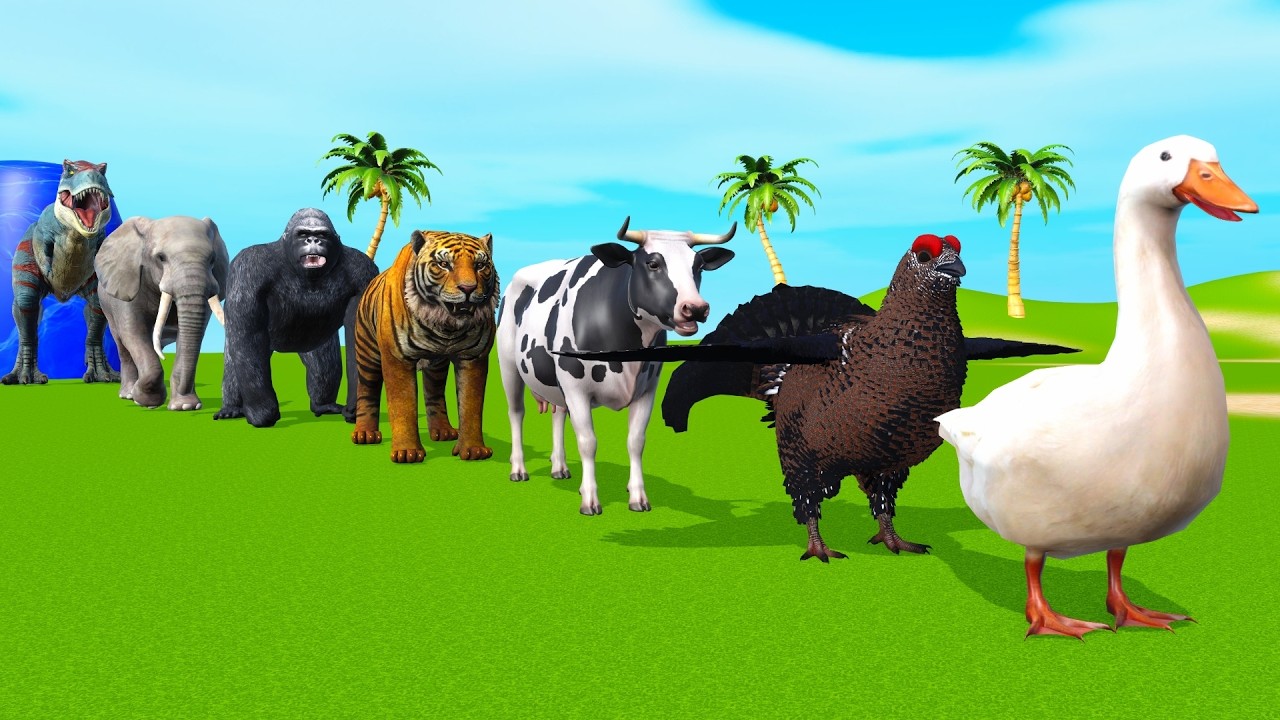 Long Slide Game With Elephant Gorilla Buffalo Hippopotamus Tiger - 3d Animal Game - Funny 3d Animals