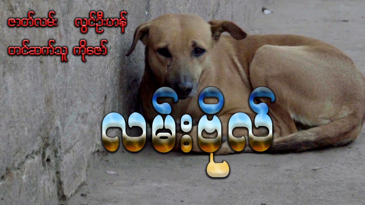 လမ်းဗိုလ် ( အစ - အဆုံး )