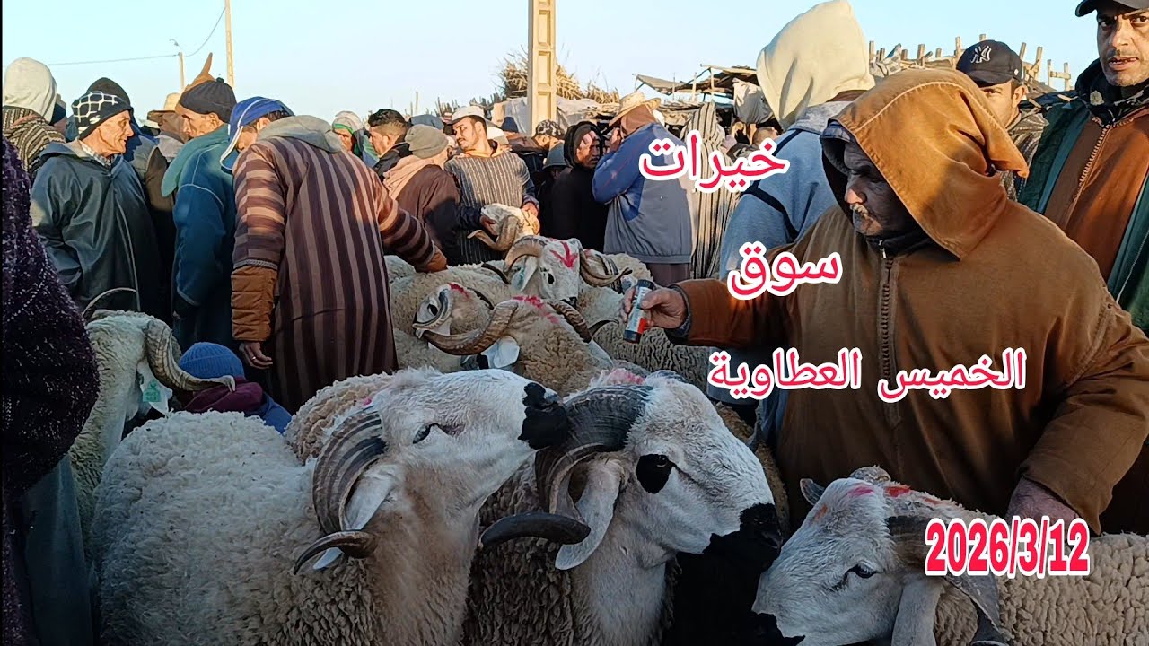 مباشره من سوق الخميس العطاوية باقليم قلعة  بتاريخ 2026/3/12 مع أتمنة حولي ديال العيد وخروفة 🐏🐑🇲🇦