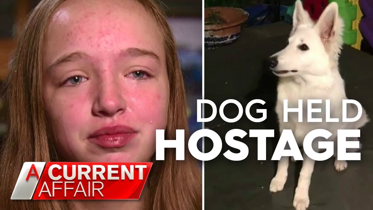 Teen in tears after trainer kidnaps dog | A Current Affair