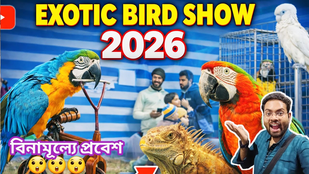 অনেকদিন পরে পাখির প্রদর্শনী দেখলাম ২০২৬। বিদেশি পাখির প্রদর্শন। Exotic birds Show 