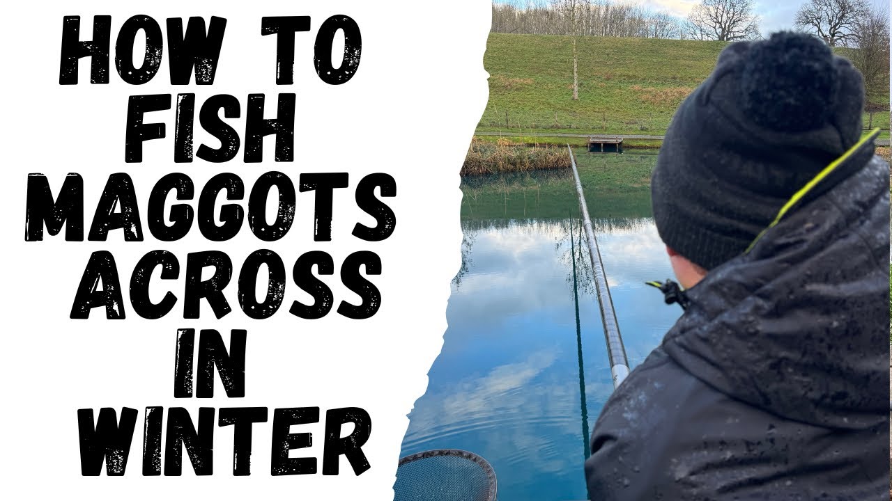 How To Fish Maggots Across In Winter 