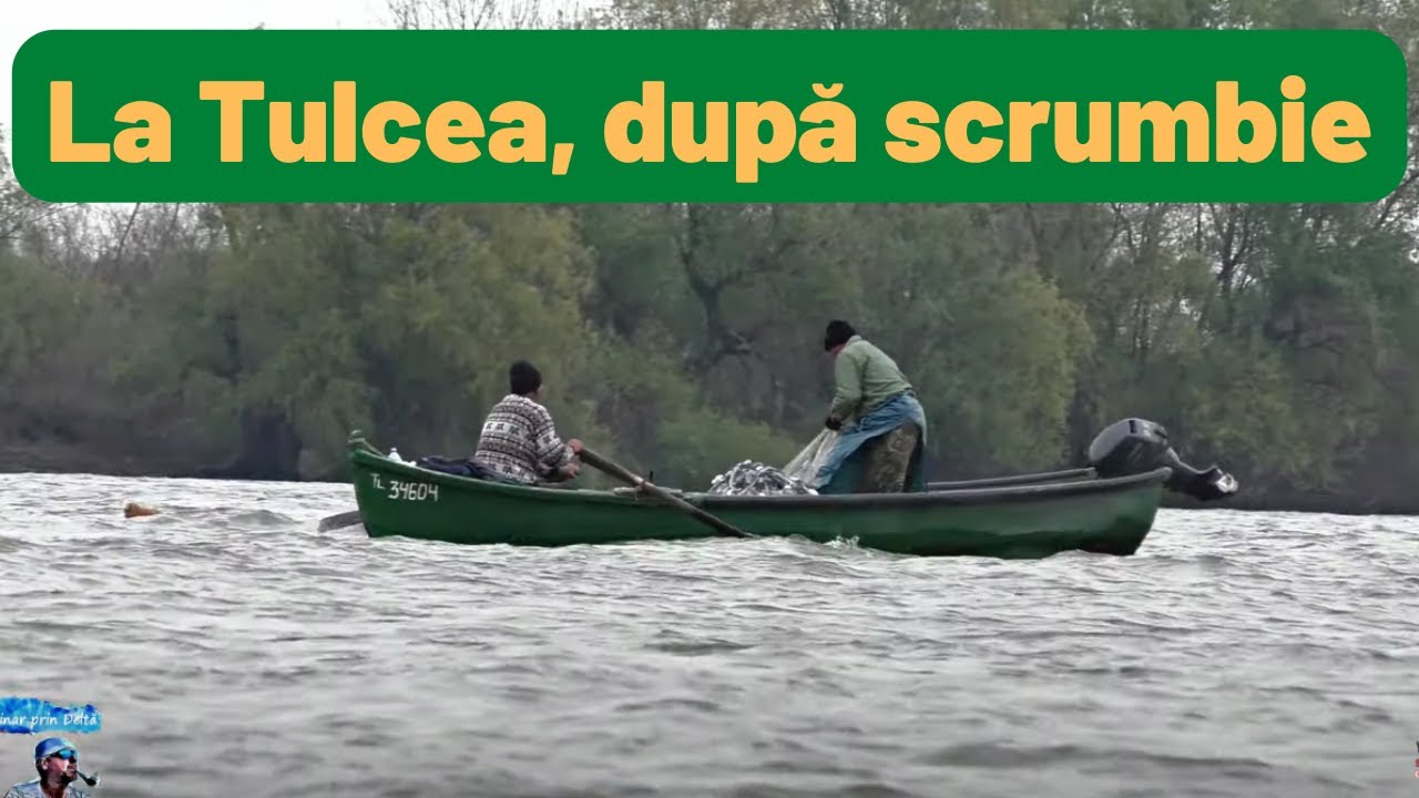 La Tulcea, după scrumbie