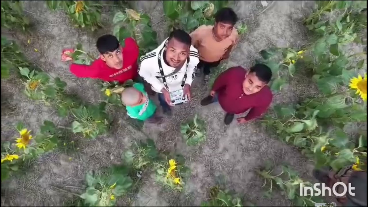 রামপুরের সূর্যমুখী বাগানের সৌন্দর্য 🌻ড্রোন ভিডিও উপহার দেওয়ার জন্য ইমন ভাইকে অসংখ্য ধন্যবাদ 🙏টিকেট