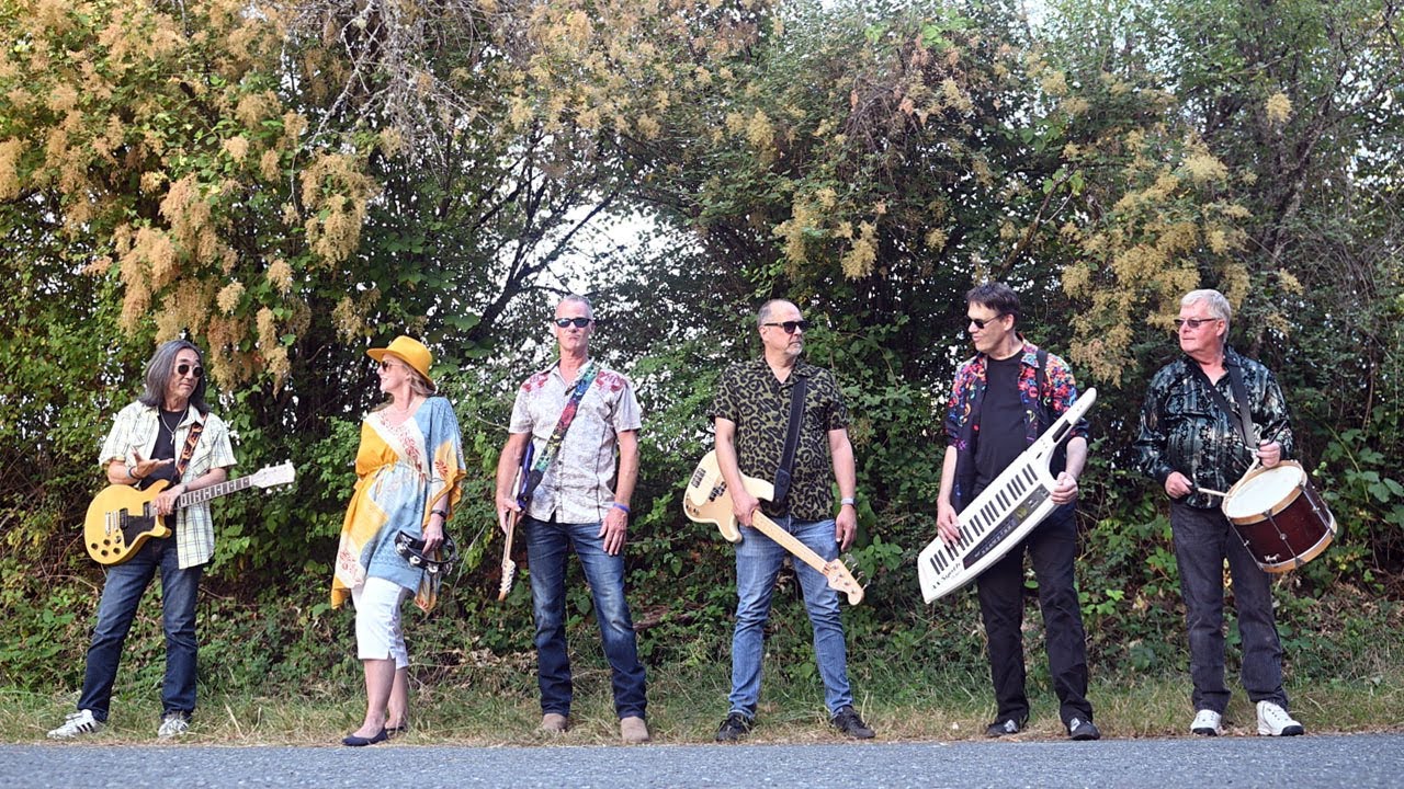 Shenanigans Live Music - Band For Hire!