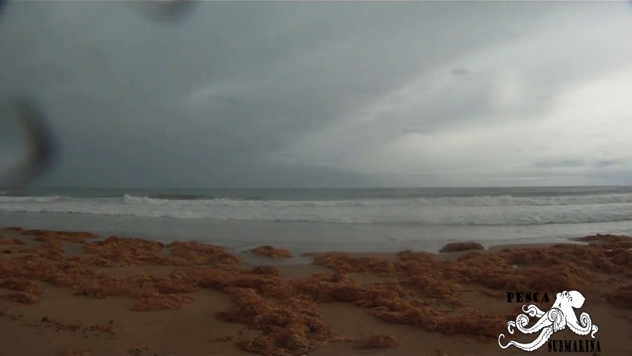temporal en Alicante