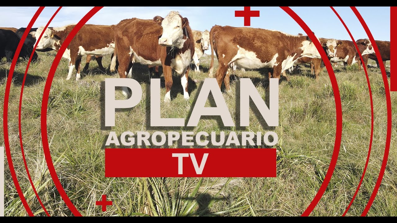 Programa del Plan Agropecuario del 5 de enero de 2026