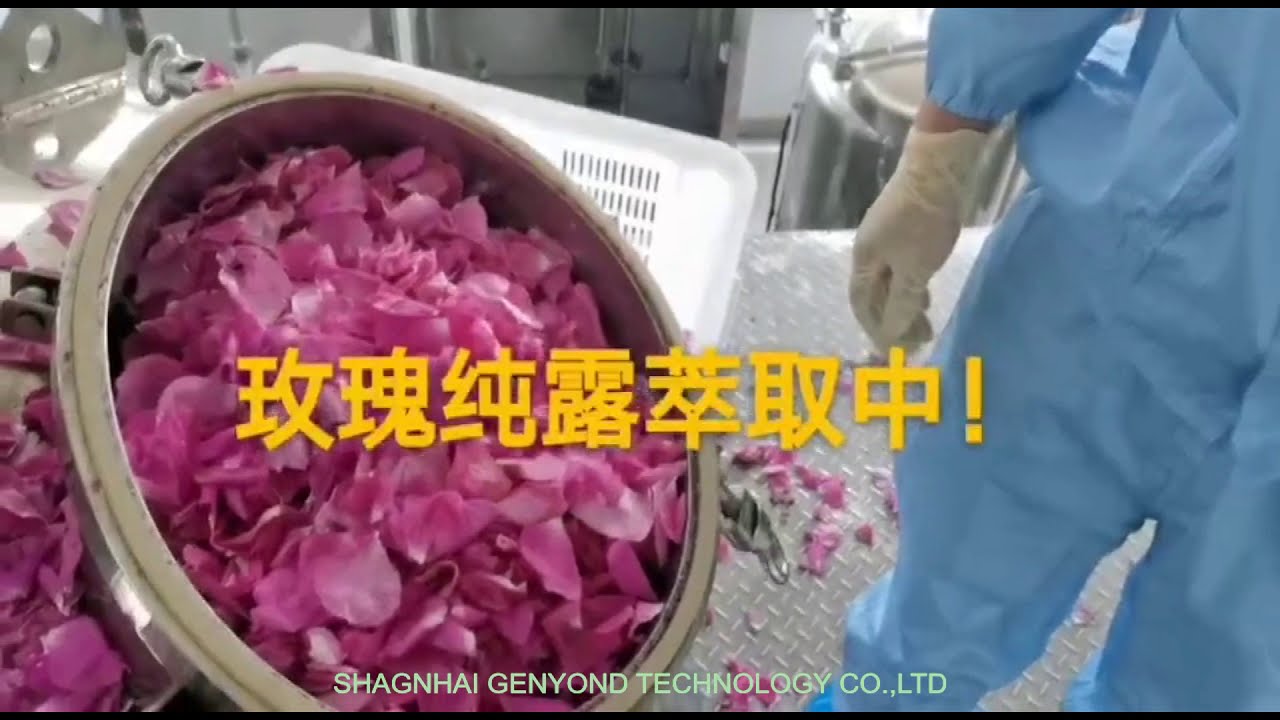 rose flower plant herbs essential oil extraction distillation distiller machine