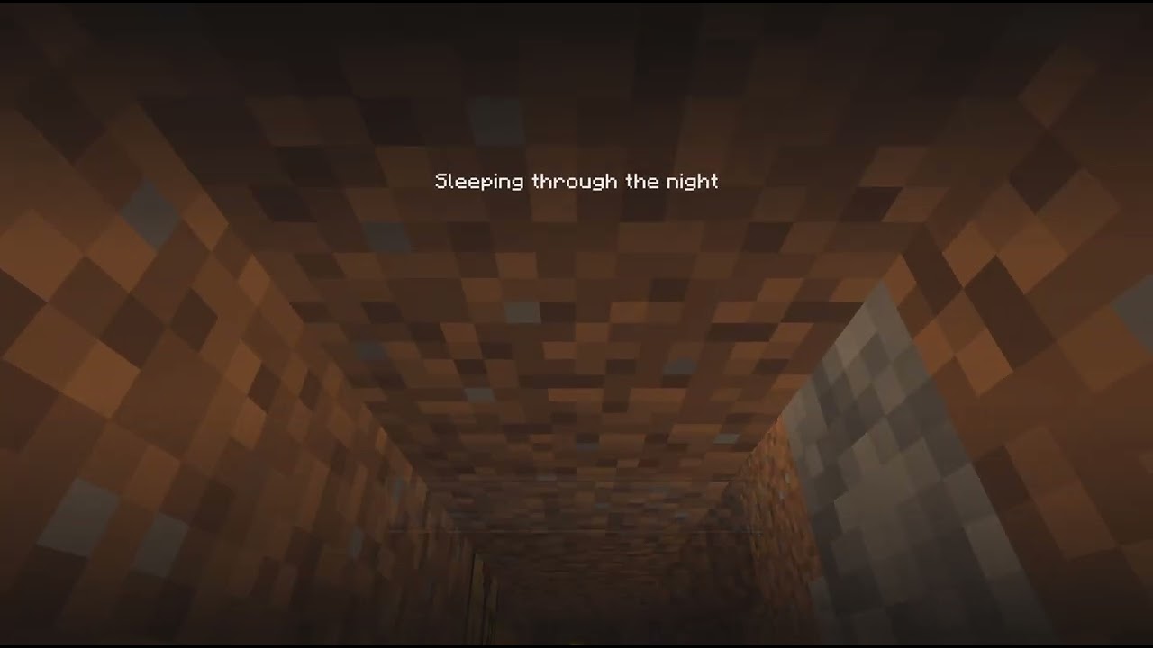 Minecraft Survivor Survival World! 11