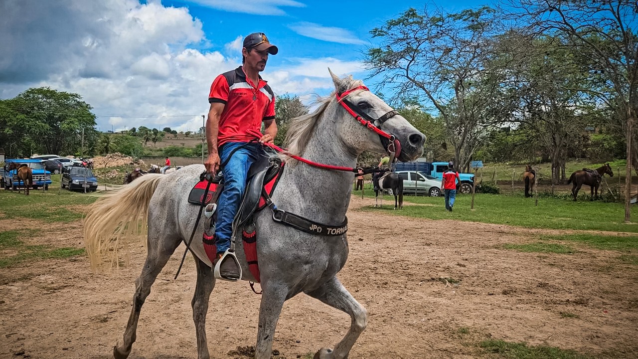FEIRA DE CAVALOS DE GRAVATÁ PE, DOMINGO, (15/02/26) #nordeste