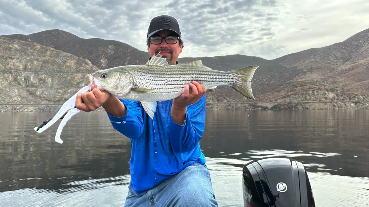 Diamond Valley Lake California Striper Fishing