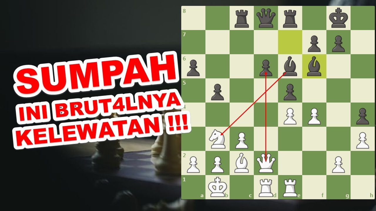 SUMPAH !!! INI BRUT4LNYA KELEWATAN