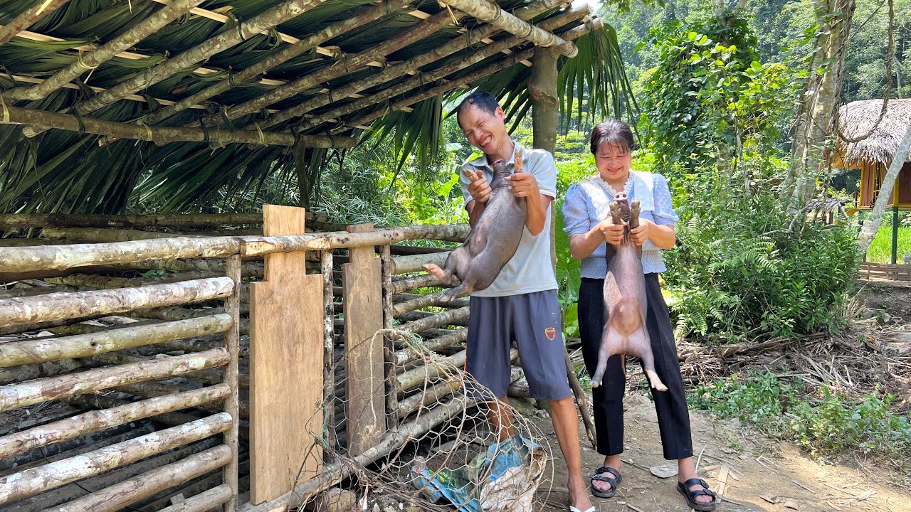 Finishing the pigsty with my kind and hardworking husband - New Life on a Farm in the Forest