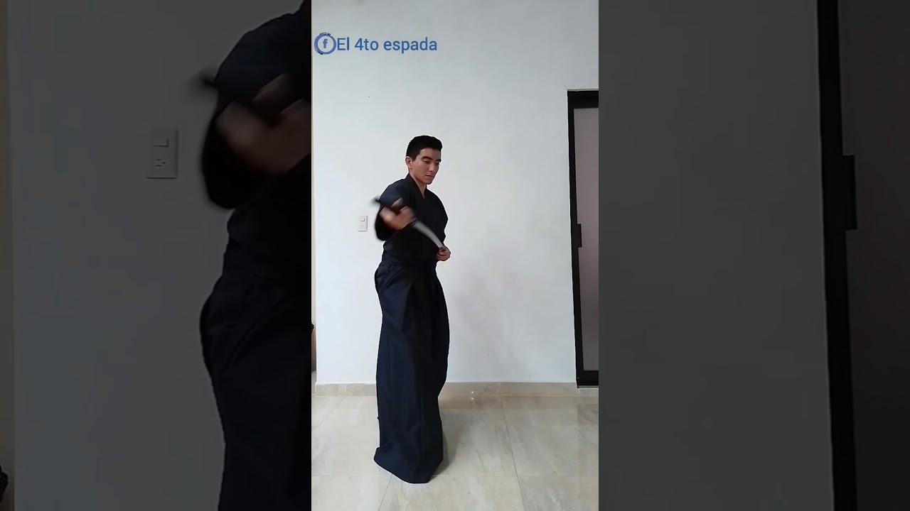 3 Seitei Iaido - Ukenagashi  #kenjutsu #iaido #kanata #iaito