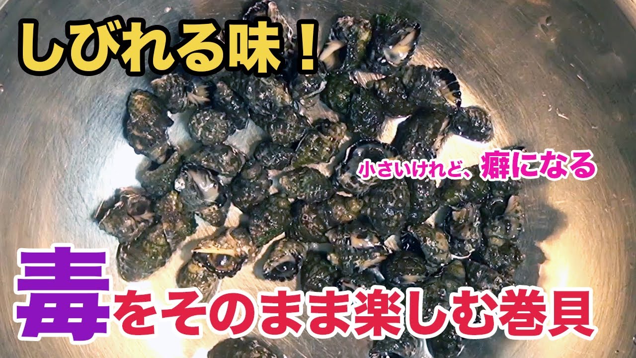 しびれるぜ！毒を楽しむ巻貝「イボニシ」は癖になる味