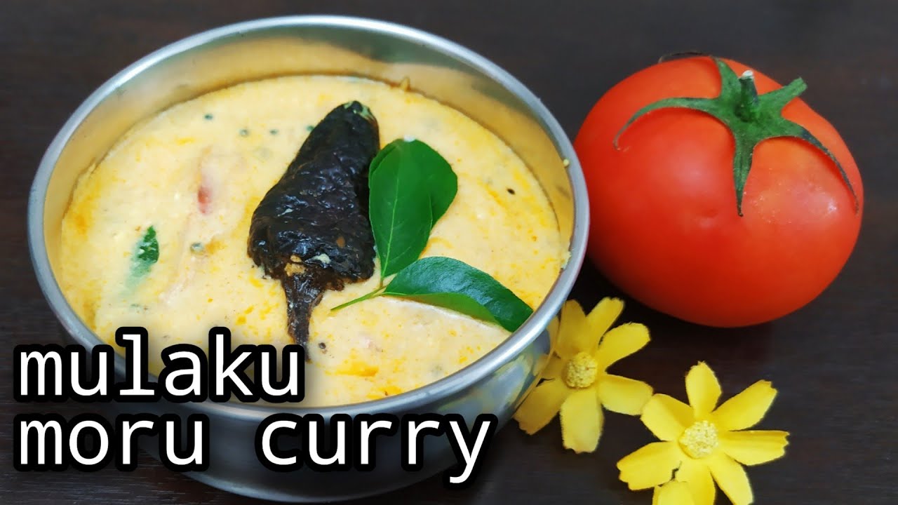 KONDATTA MULAKU MORU CURRY || MORU CURRY WITH KONDATTA MULAKU || MORU CURRY RECIPE