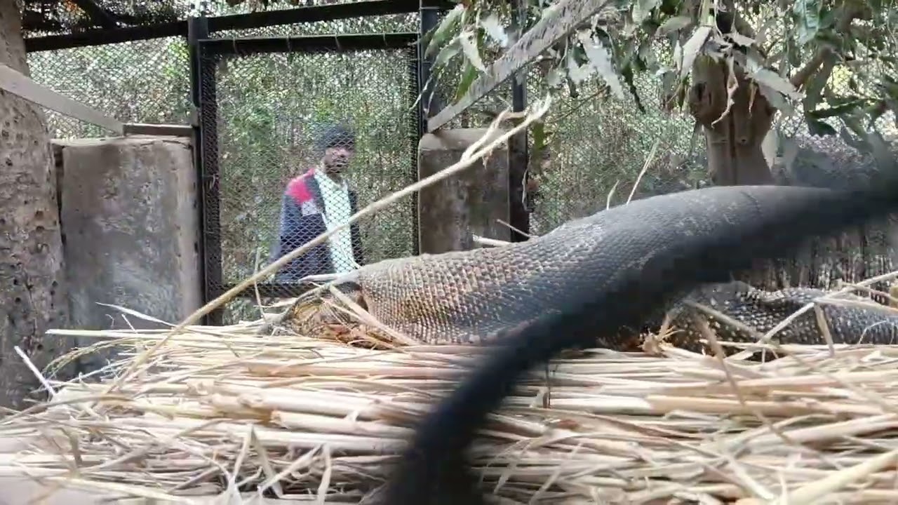 Nandankanan zoo ❤️🦣🦥🐅🐒