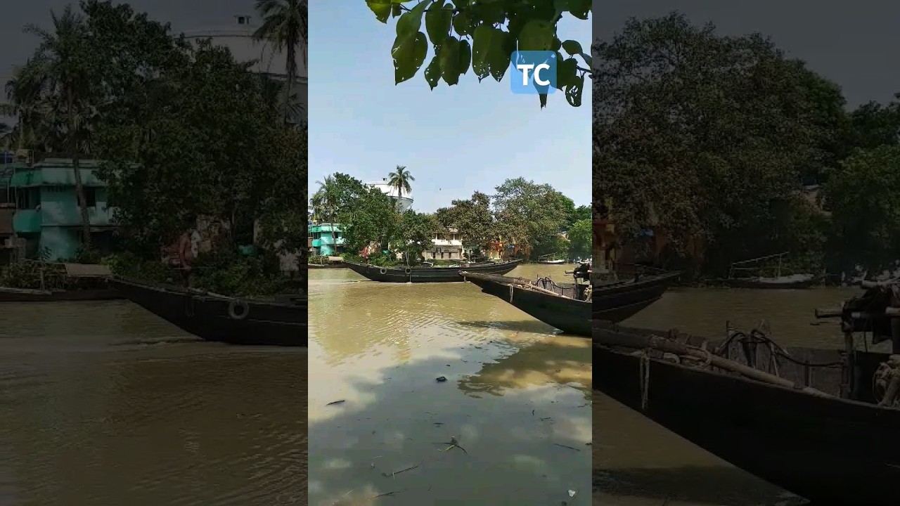 জল জীবন🌊🦐 #tomoghnachandra #viralvideo #flood #wbflood#flooddamage #dvc #bengalflood#river