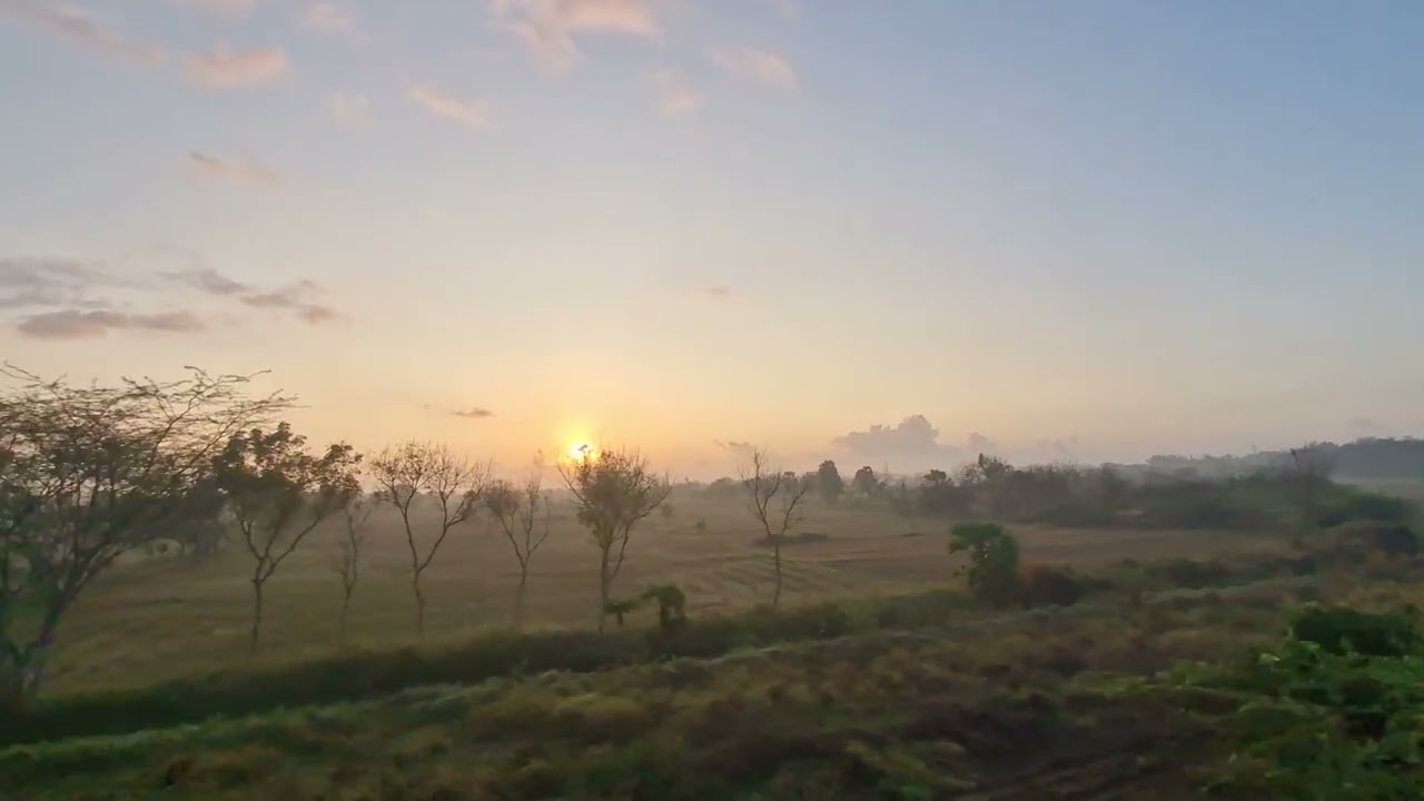 CAUVERY DELTA IN THE EARLY MORNING 