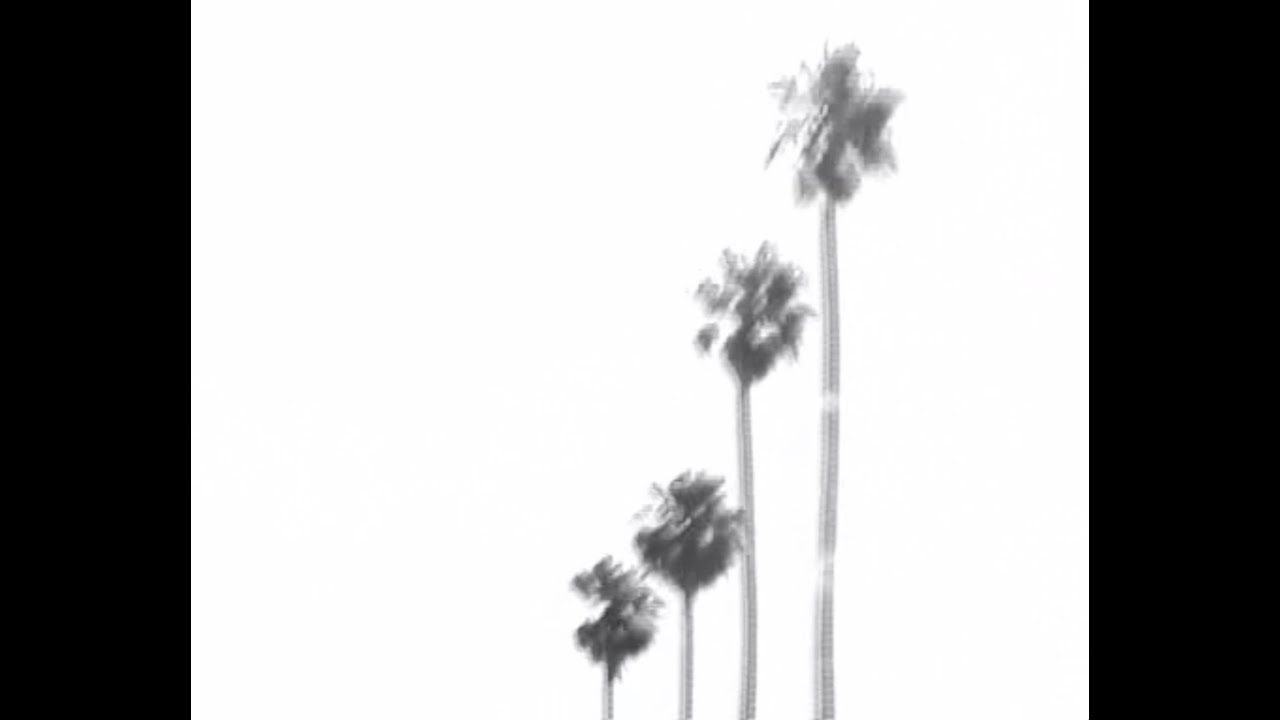 LTNO - Surfin Skin