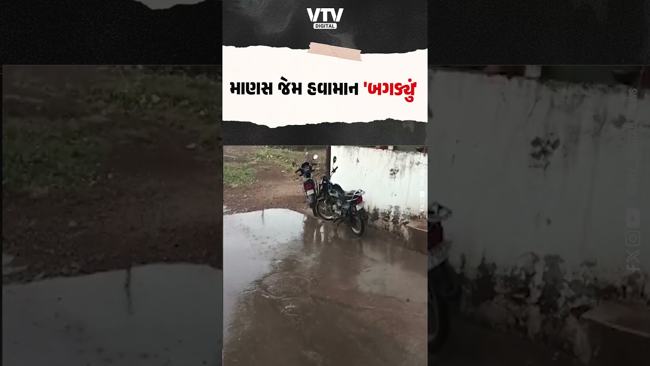 જામનગરના લાલપુર વિસ્તારમાં કરા સાથે કમોસમી વરસાદ,ઊભા પાકમાં ભારે નુકશાન