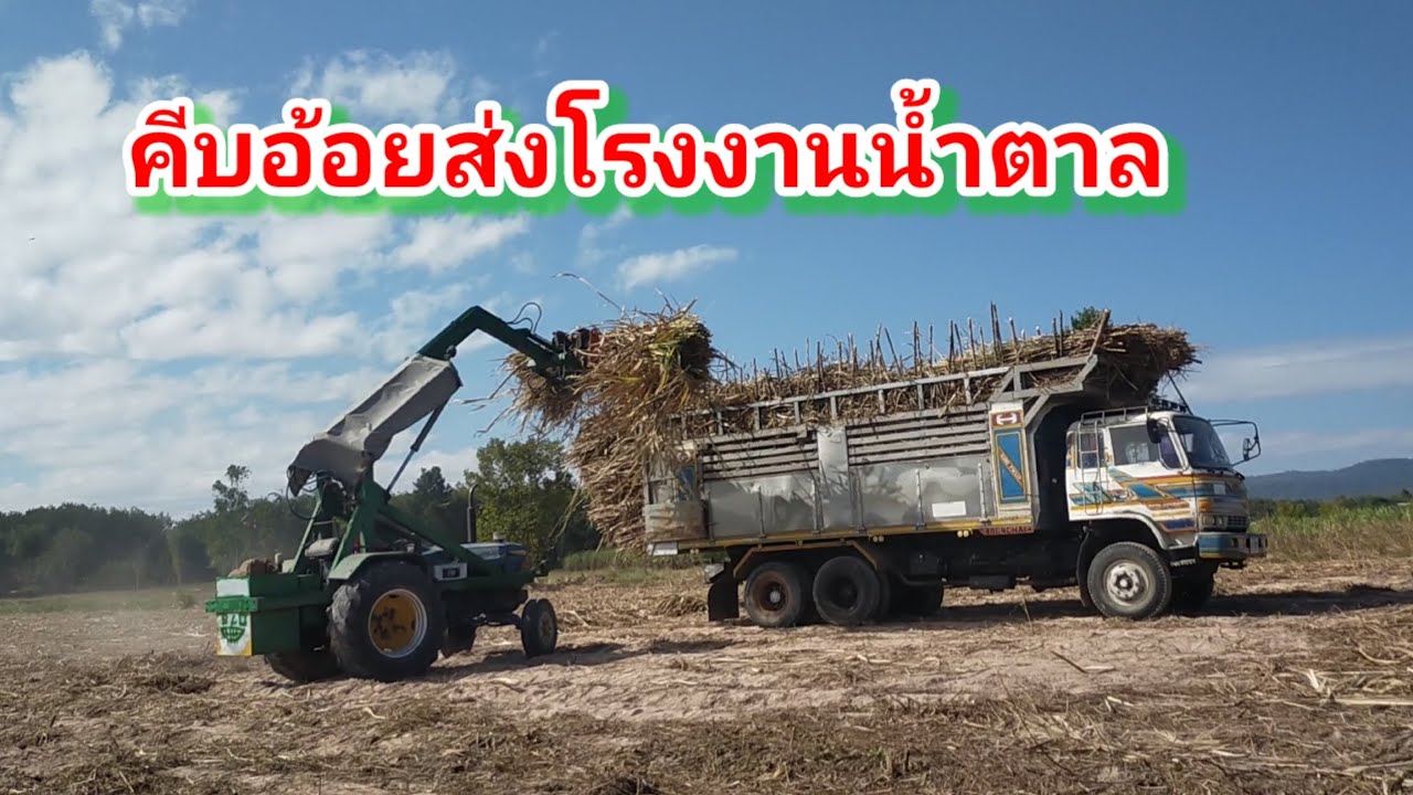 คียอ้อยส่งโรงงานน้ำตาล EP 28/69