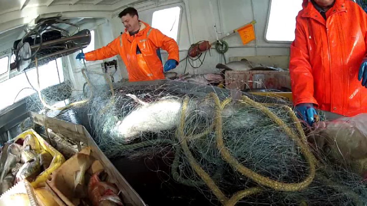 Fishing trip outside Reykjavik in February 2013. With Sindri RE 46