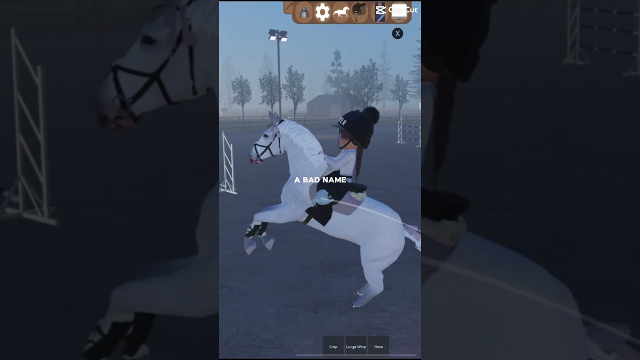 Spicy mare