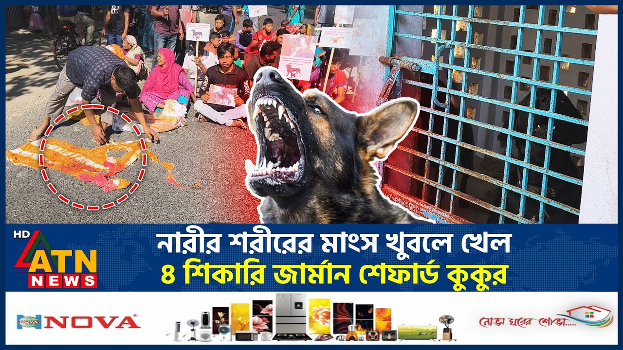 নারীর শরীরের মাংস খুবলে খেল ৪ শিকারি জার্মান শেফার্ড কুকুর | German Shepherd Attack Women | ATN News