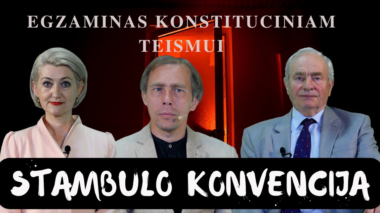 Ar Stambulo konvencija pasibels į jūsų duris?