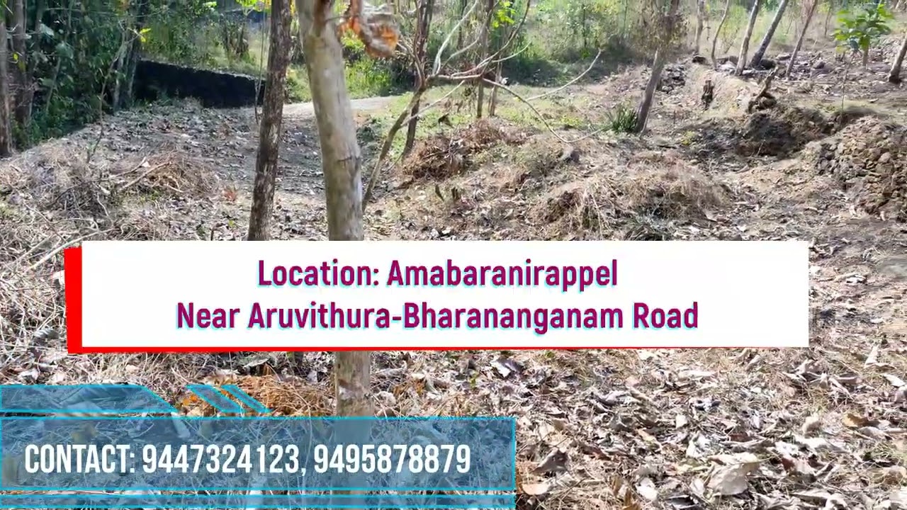 House Plot for sale in Bharananganam, Kottayam District