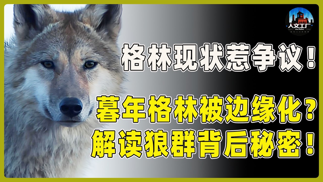 “格林”现状惹争议！暮年“格林”被狼群边缘化？一个细节解读狼群背后的秘密！#重返狼群 #李微漪 #马未都#许子东#尹烨#圆桌派 #圆桌派第八季 #格林